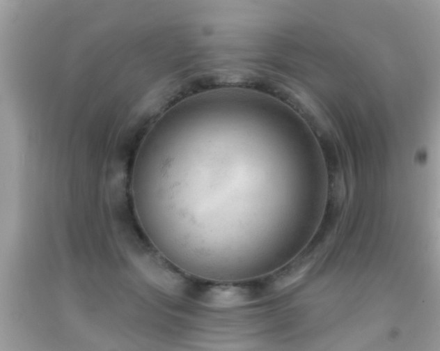 X0000092030557200709061617