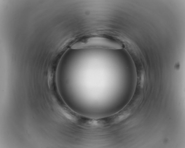 X0000092030558200709061617