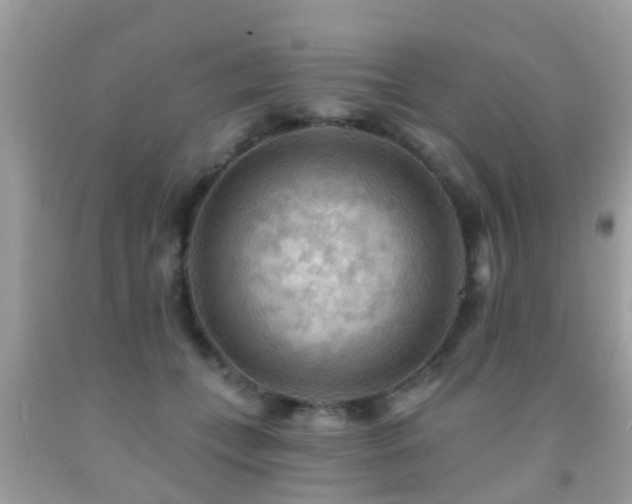 X0000092030559200709061617