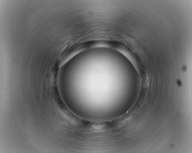 X0000092030560200709061617