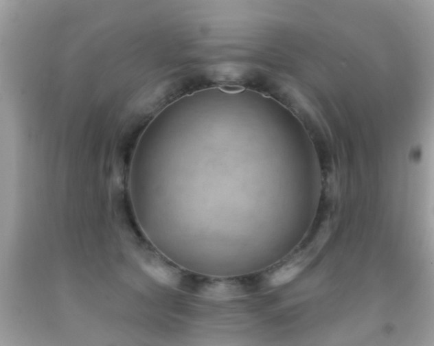 X0000092030561200709061617