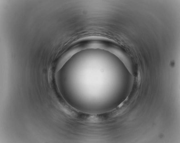 X0000092030562200709061617
