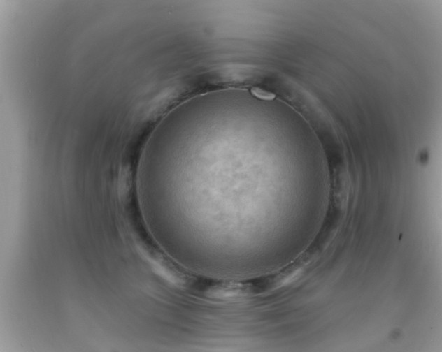 X0000092030563200709061617