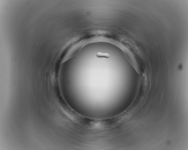 X0000092030564200709061617