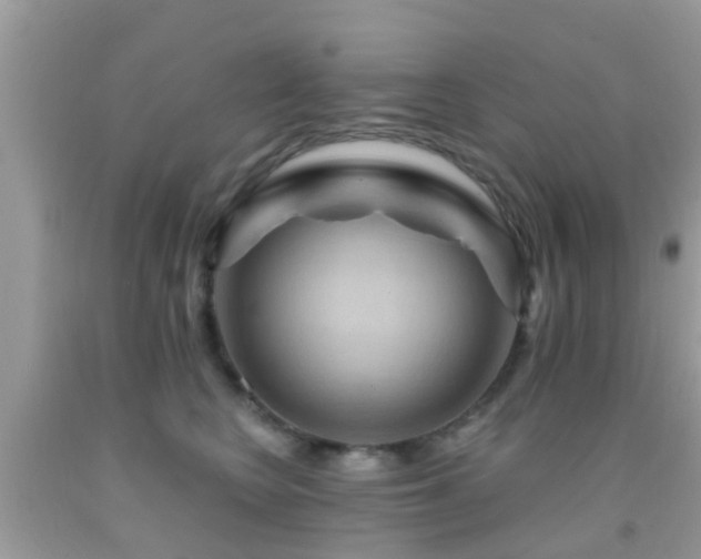 X0000092030566200709061617