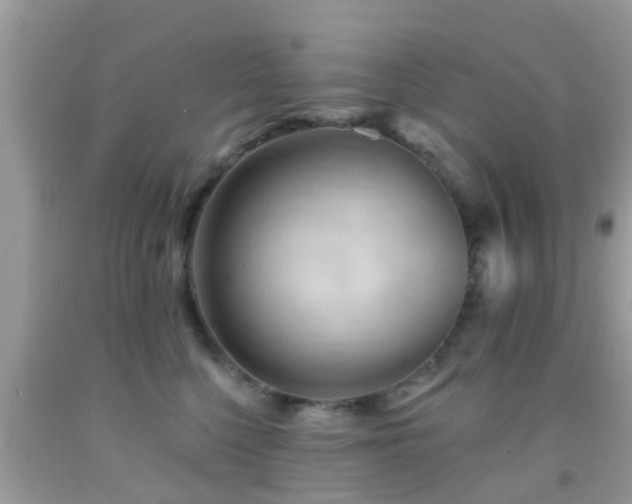 X0000092030568200709061617