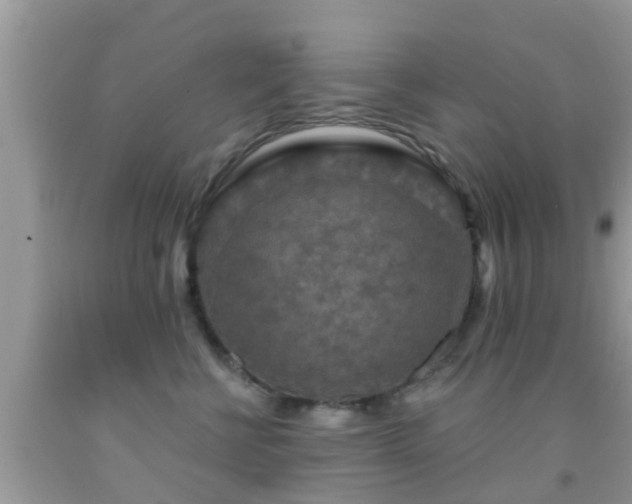 X0000092030570200709061617