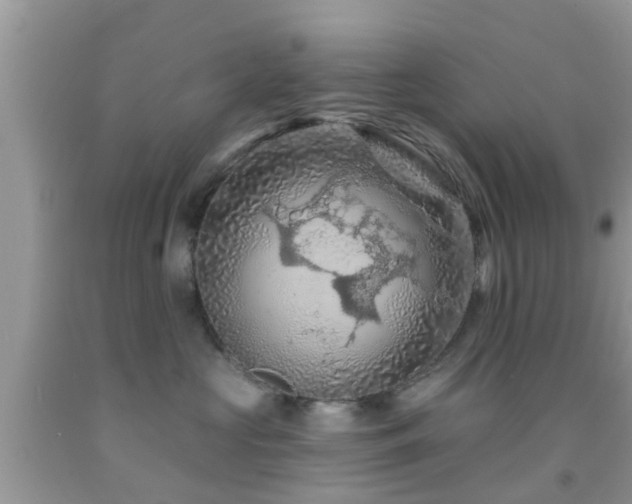 X0000092030573200709061617