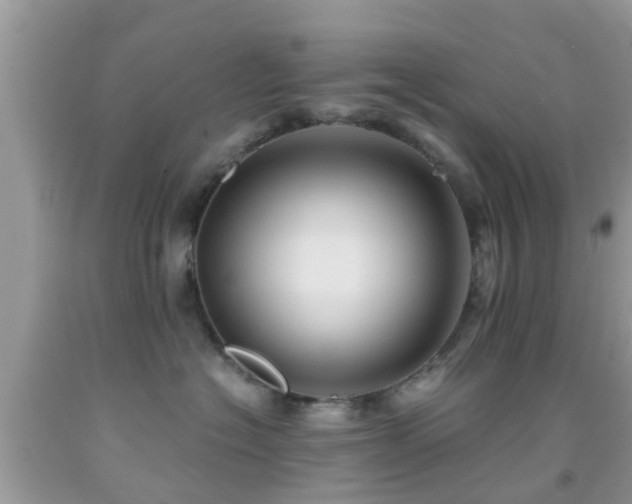 X0000092030574200709061617