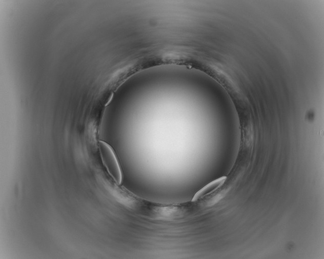 X0000092030575200709061617