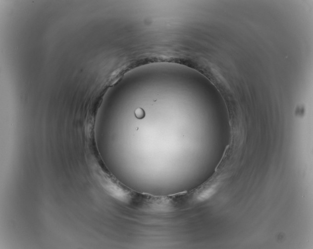 X0000092030576200709061617