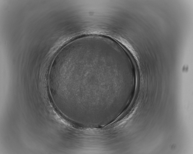 X0000092030577200709061616