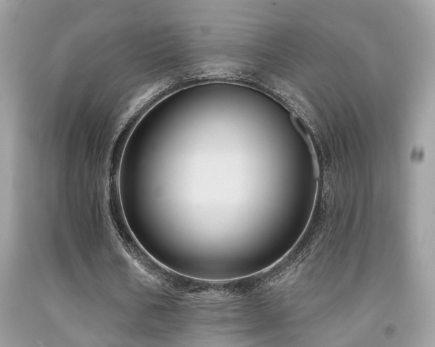 X0000092030578200709061616
