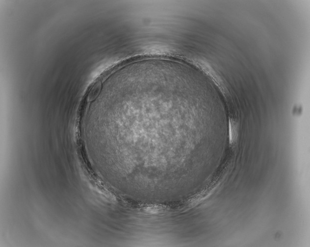 X0000092030579200709061616
