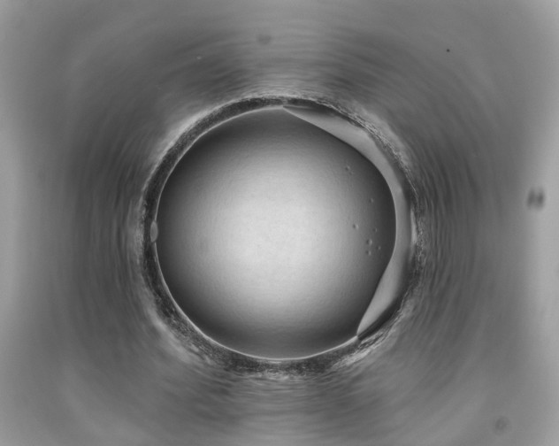 X0000092030580200709061616