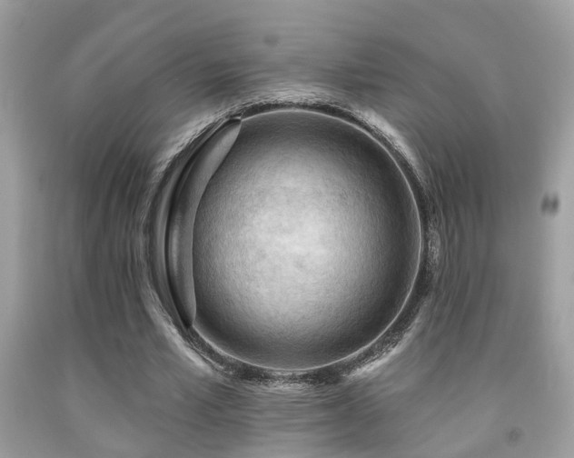 X0000092030581200709061616