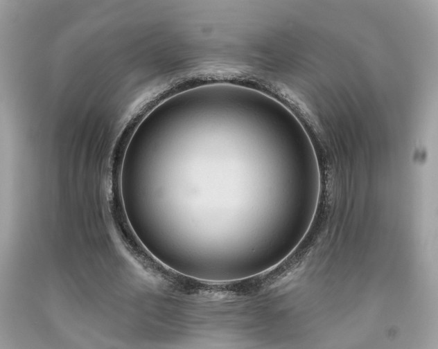 X0000092030582200709061616