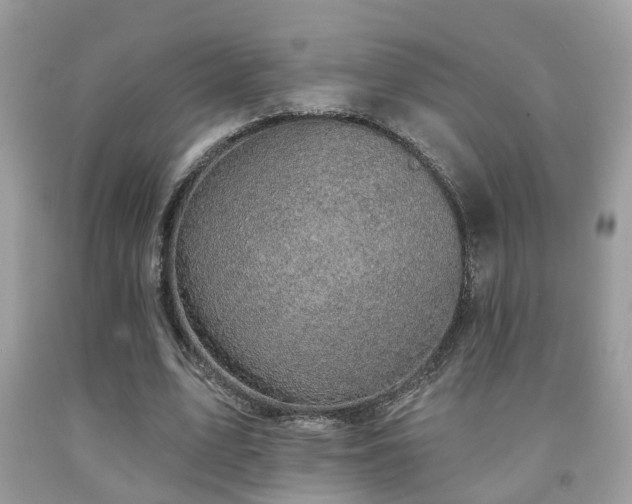 X0000092030583200709061616