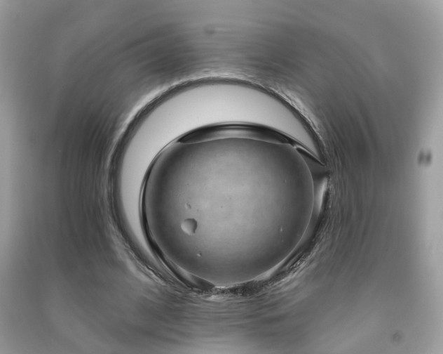 X0000092030584200709061616