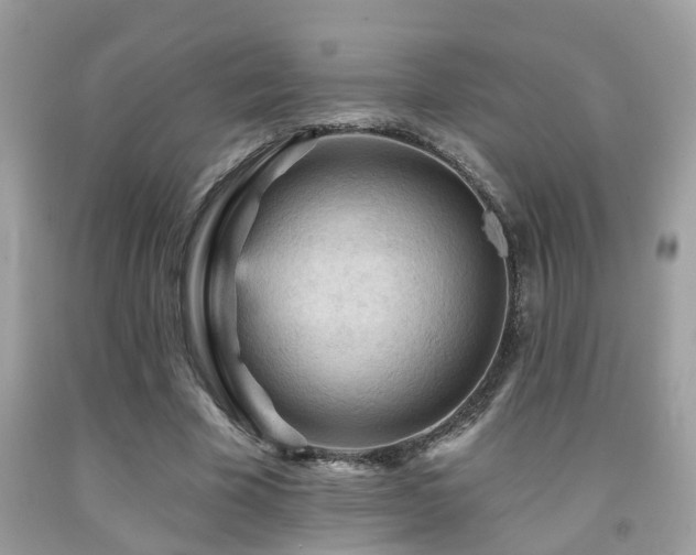 X0000092030585200709061616
