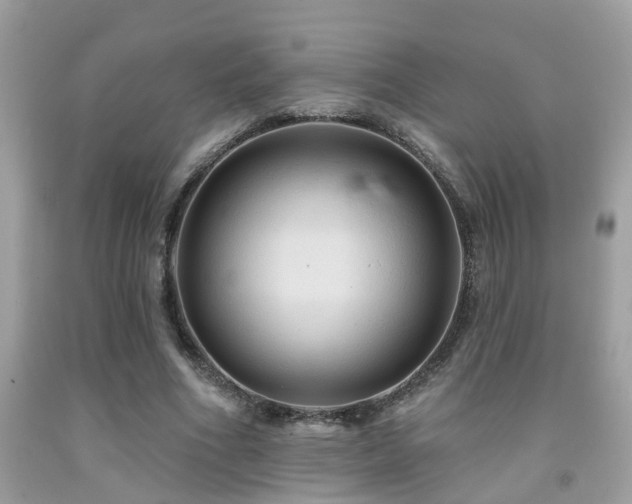 X0000092030586200709061616