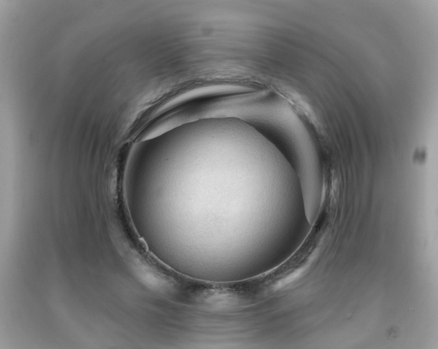 X0000092030589200709061616