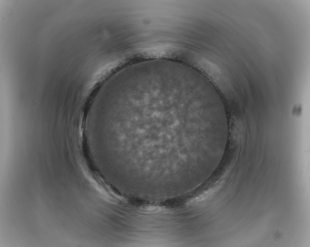 X0000092030590200709061616
