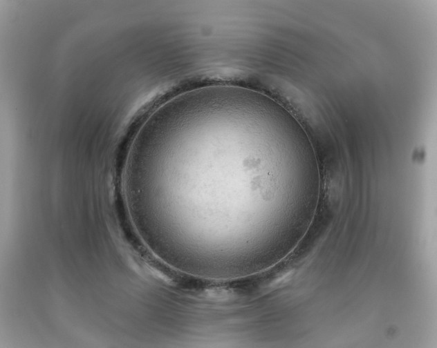X0000092030591200709061616