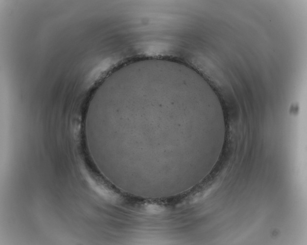 X0000092030592200709061616