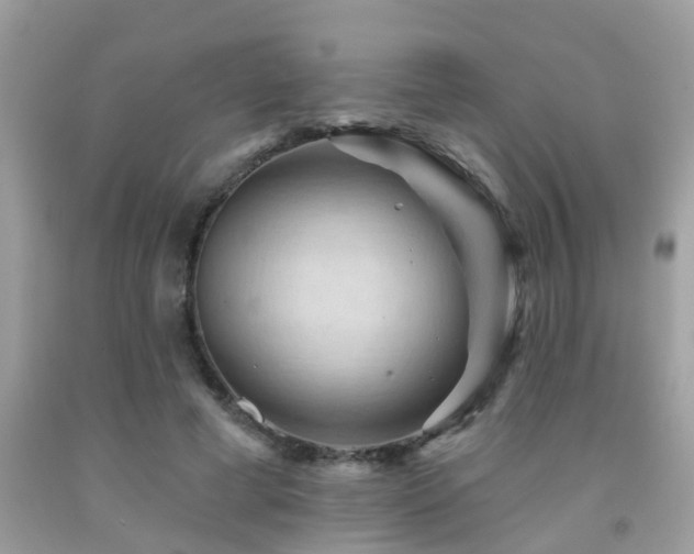 X0000092030593200709061616