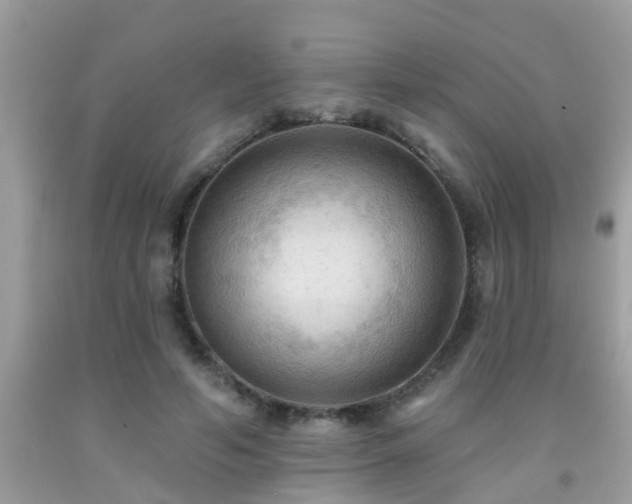 X0000092030594200709061616