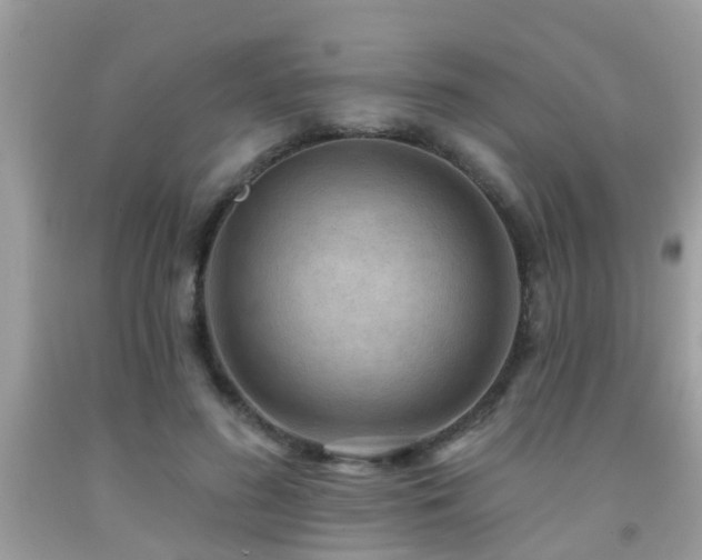 X0000092030596200709061616