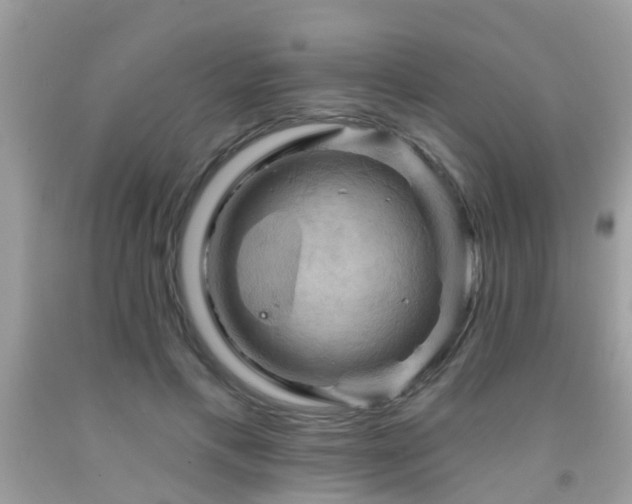 X0000092030597200709061616