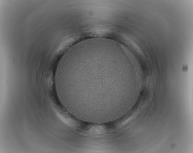X0000092030599200709061616