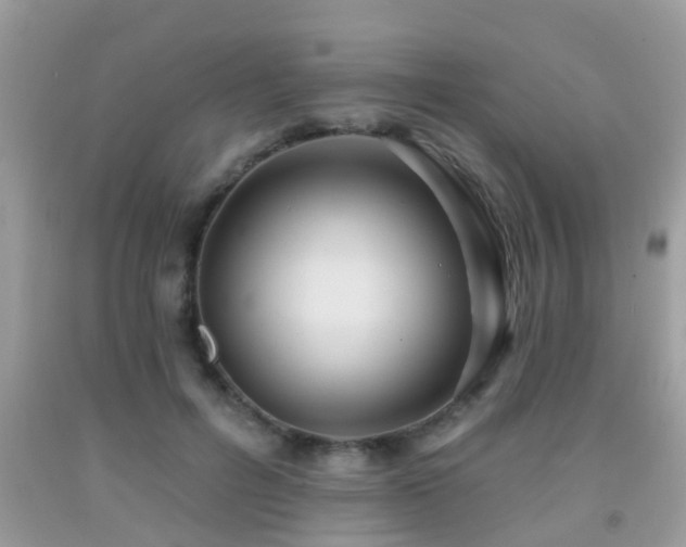 X0000092030600200709061616