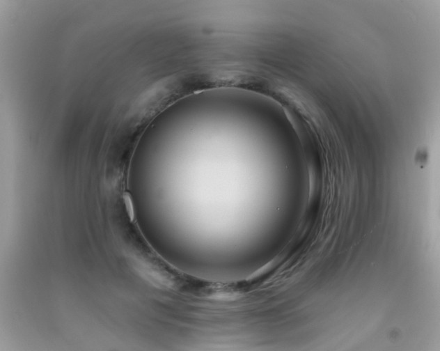 X0000092030601200709061616