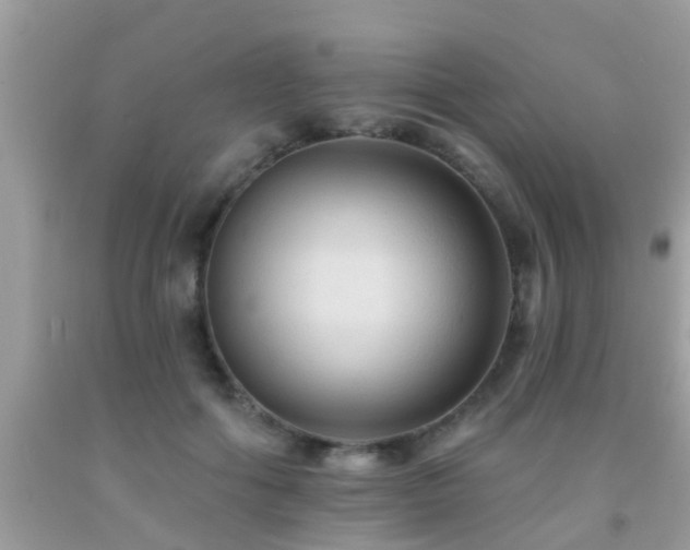 X0000092030602200709061616