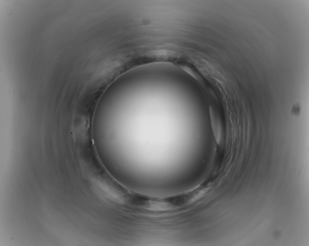 X0000092030605200709061616
