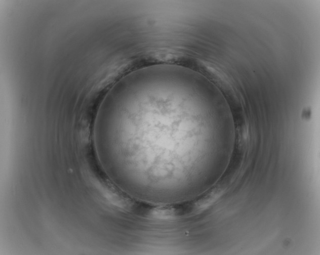 X0000092030606200709061616