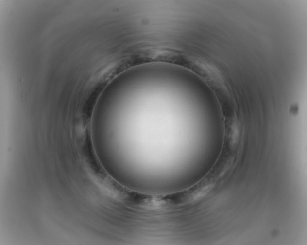 X0000092030607200709061616