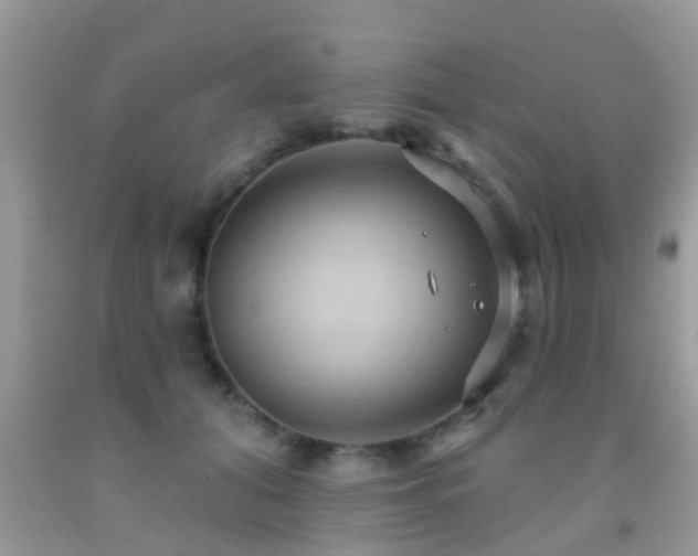 X0000092030608200709061616