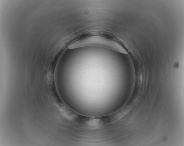 X0000092030609200709061616
