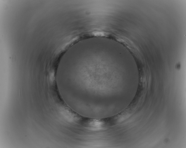 X0000092030610200709061616