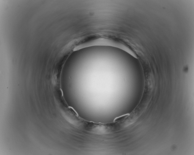 X0000092030611200709061616