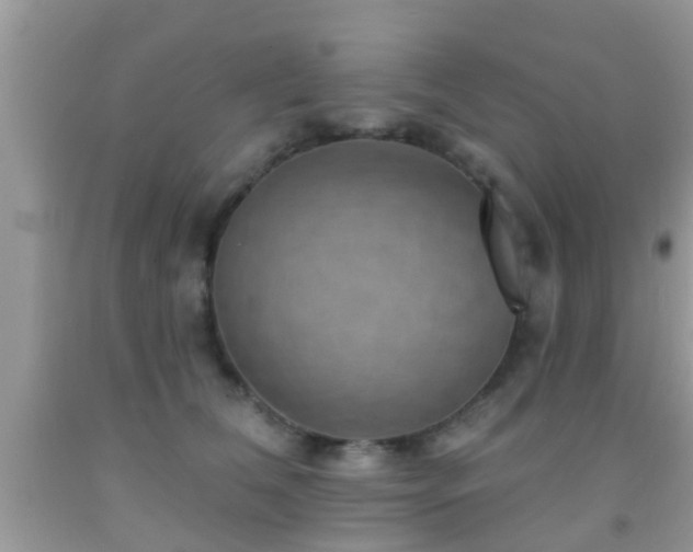 X0000092030612200709061616