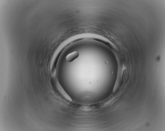 X0000092030613200709061616