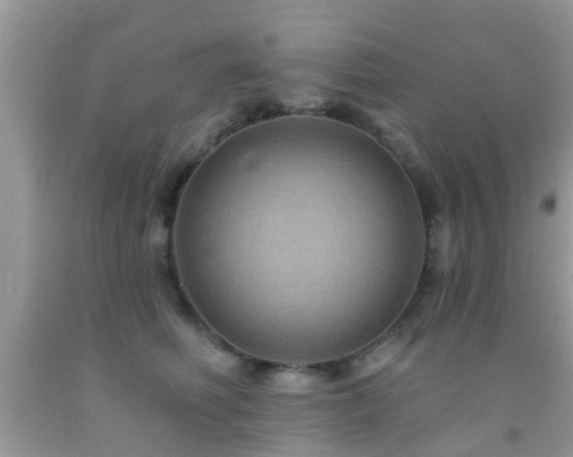 X0000092030614200709061616
