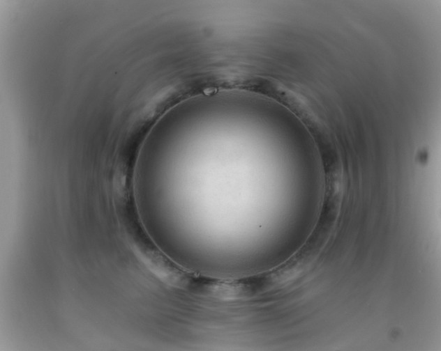 X0000092030615200709061616