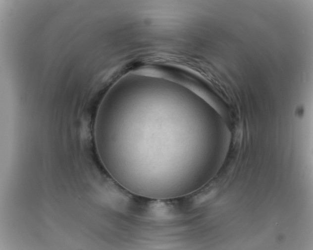 X0000092030616200709061616