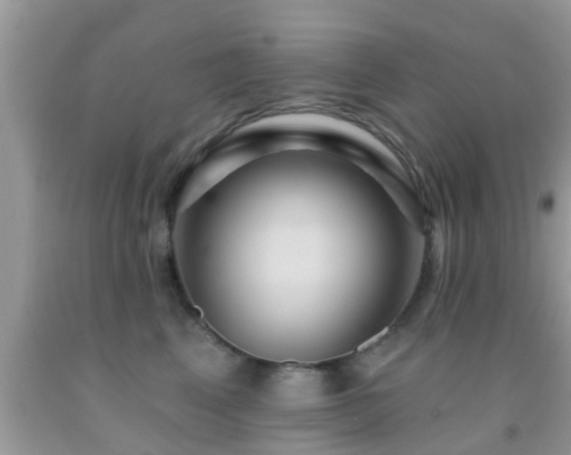 X0000092030617200709061616